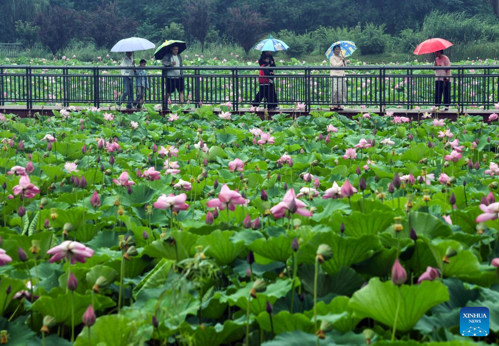 People enjoy Dragon Boat Festival holiday with diverse activities across China