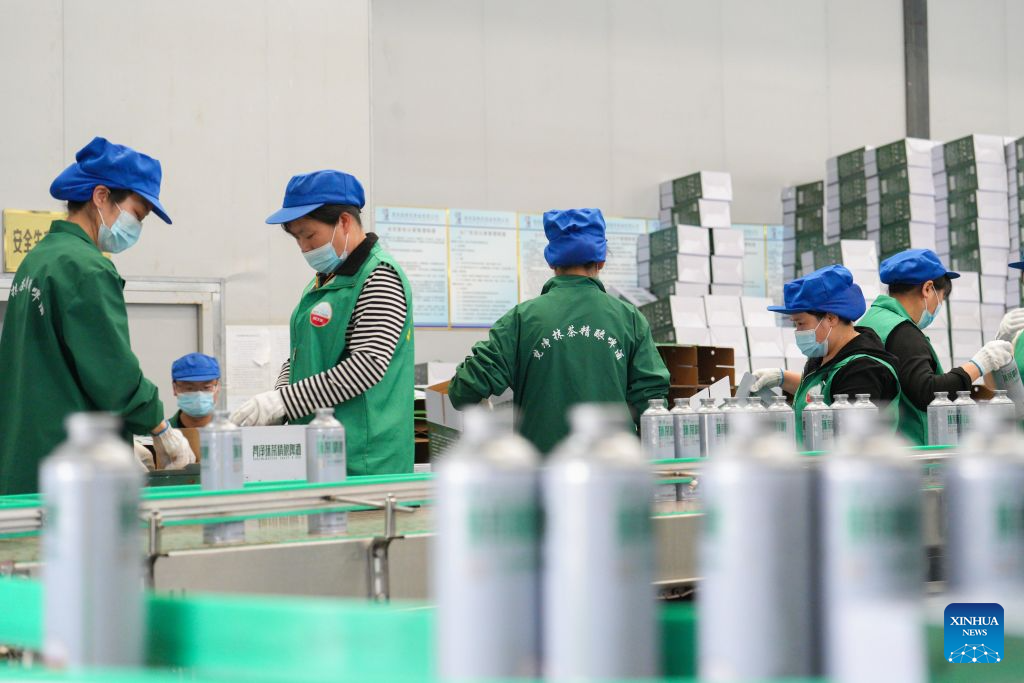 Matcha boom turns Guizhou tea into new growth ingredient