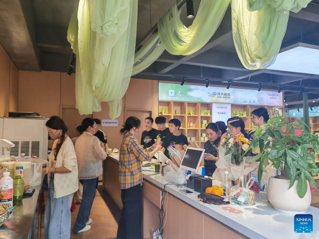Matcha boom turns Guizhou tea into new growth ingredient