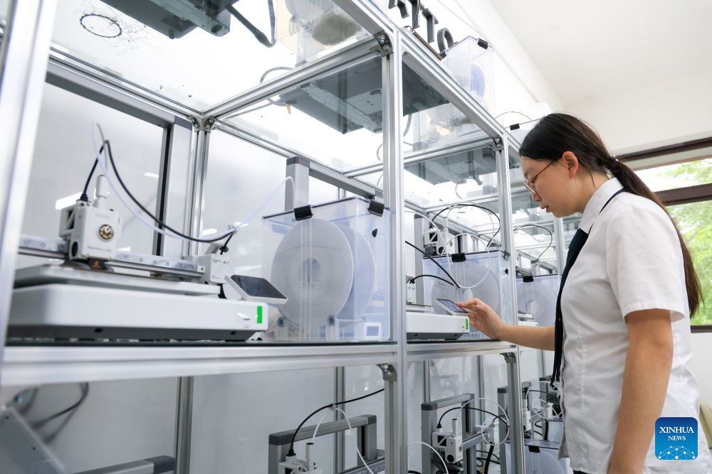 Consumer 3D printers gain popularity in China