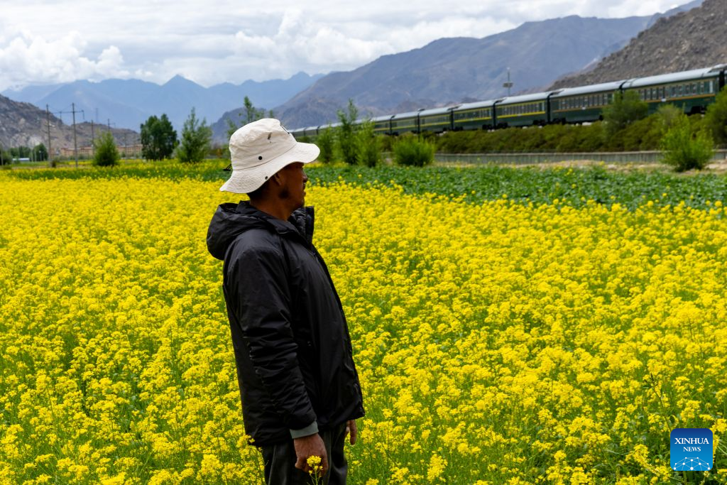 A revisit to Pasang Tsering: Happy life along the Qinghai-Xizang Railway