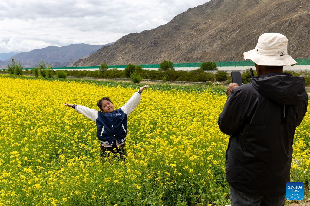 A revisit to Pasang Tsering: Happy life along the Qinghai-Xizang Railway