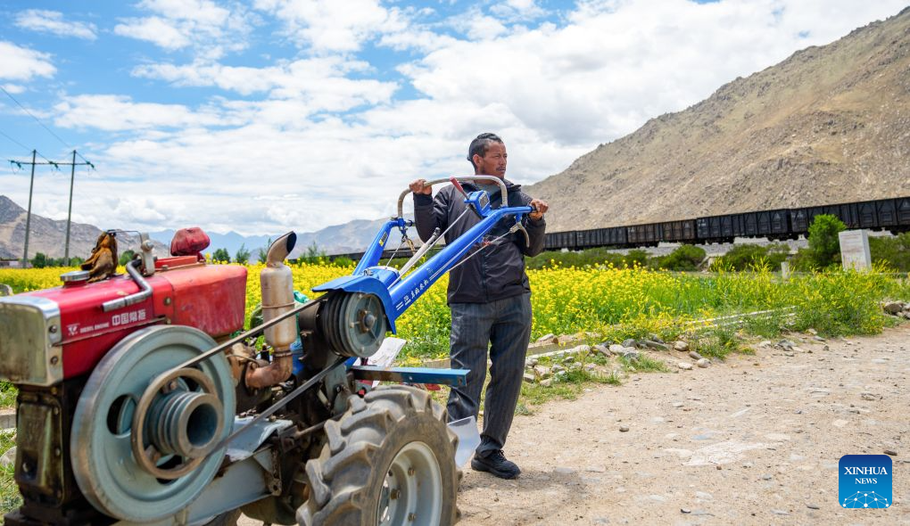 A revisit to Pasang Tsering: Happy life along the Qinghai-Xizang Railway