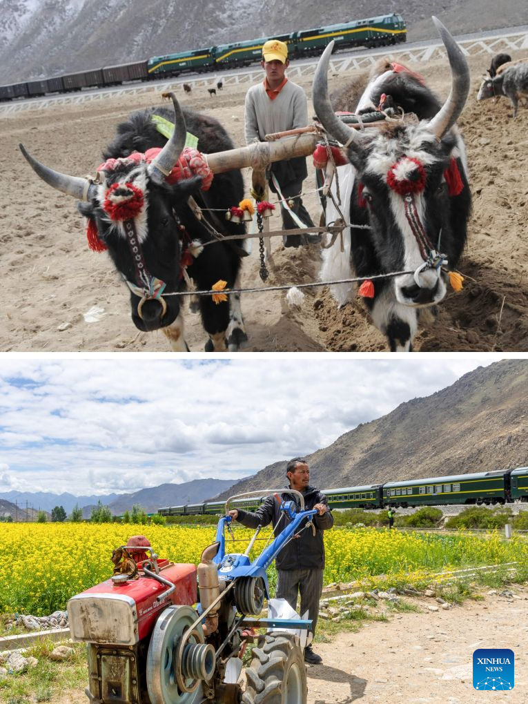 A revisit to Pasang Tsering: Happy life along the Qinghai-Xizang Railway
