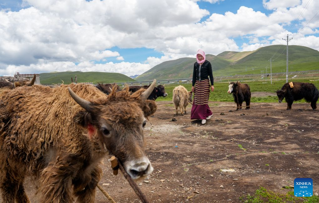 Qinghai-Xizang Railway brings great changes to China's snowy plateau