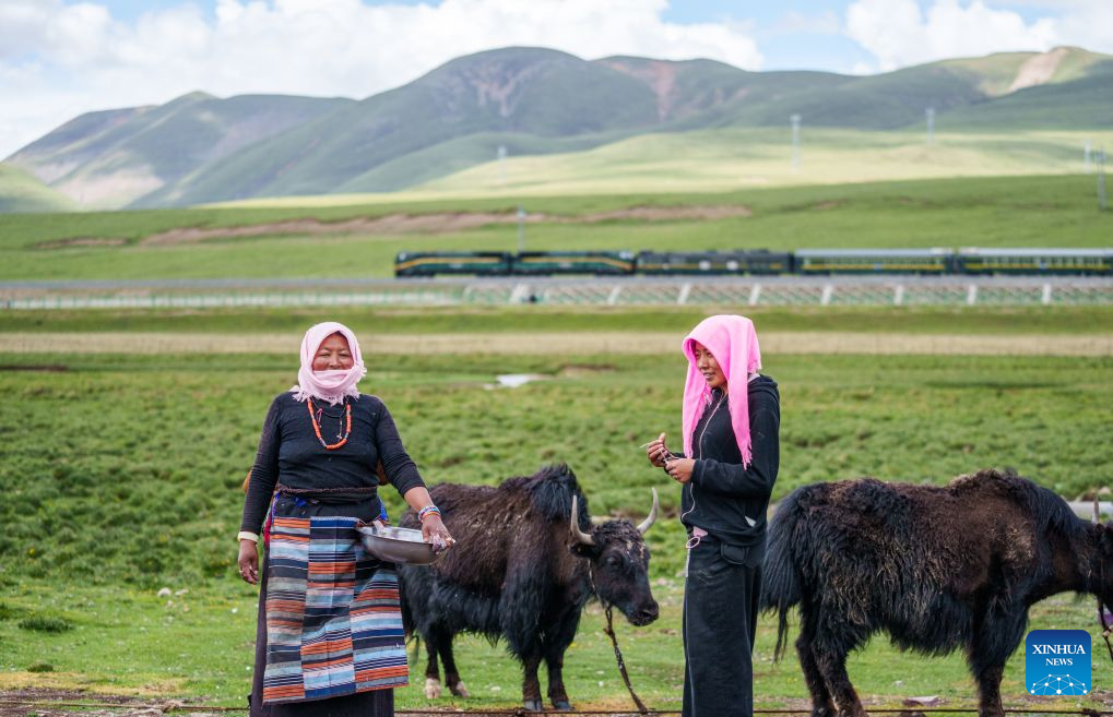 Qinghai-Xizang Railway brings great changes to China's snowy plateau