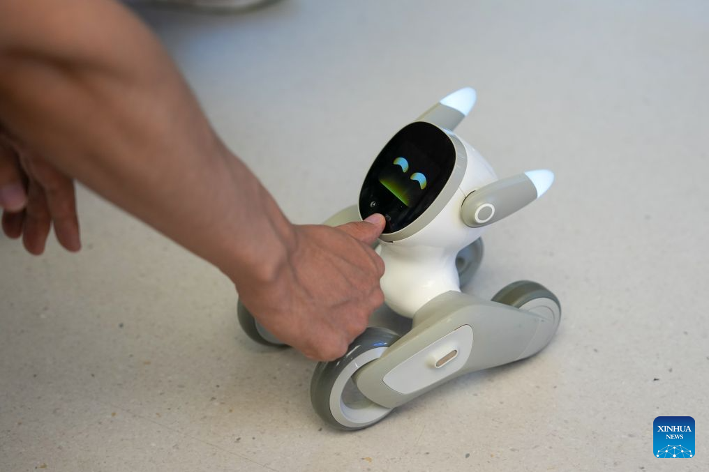 China's Chengdu develops comprehensive robotics ecosystem