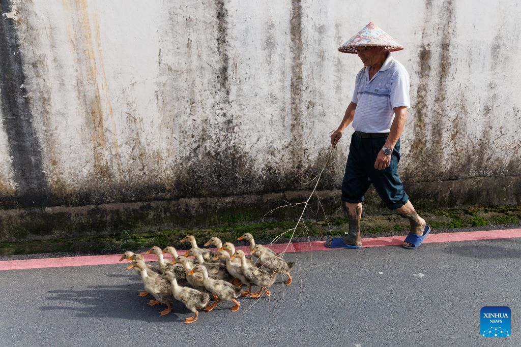 Scenery of Shi Ting Village in E China's Anhui
