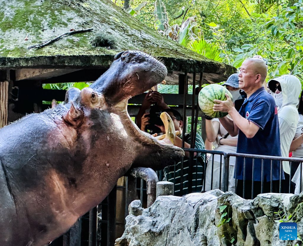 Chongqing Zoo takes various measures to cool animals off during summer heat