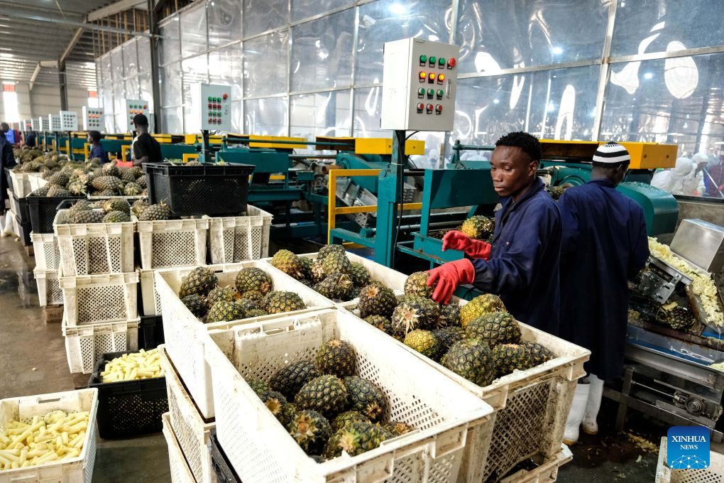 Uganda VP hails China-backed agro-industrial park for boosting agricultural transformation