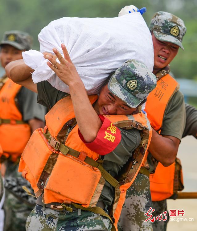 诗援庚子抗洪（下）