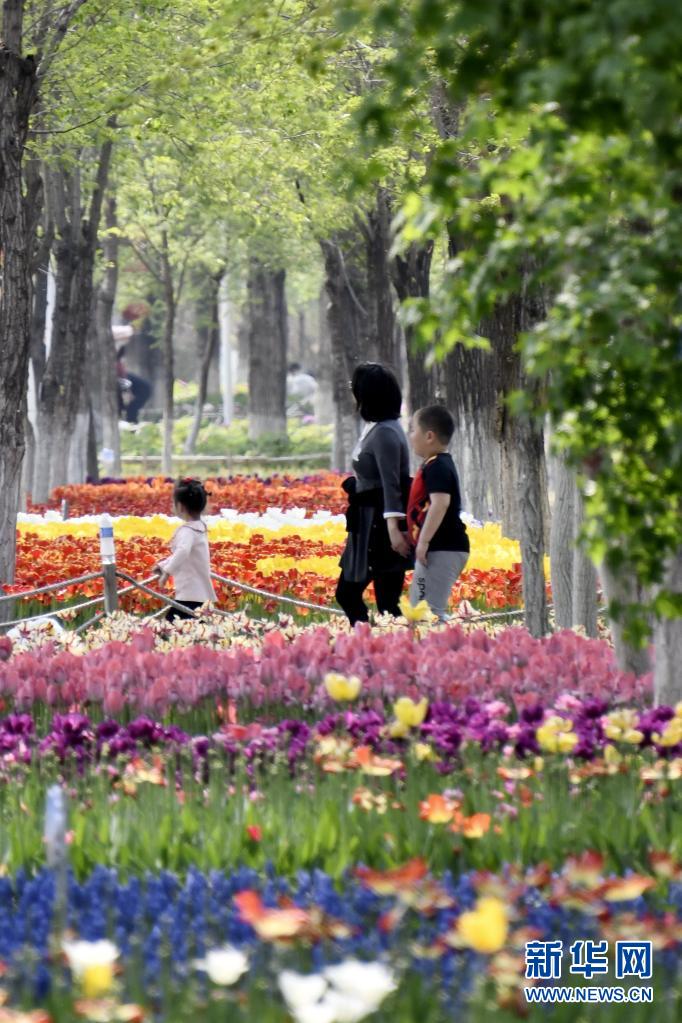 永定河畔休闲赏花