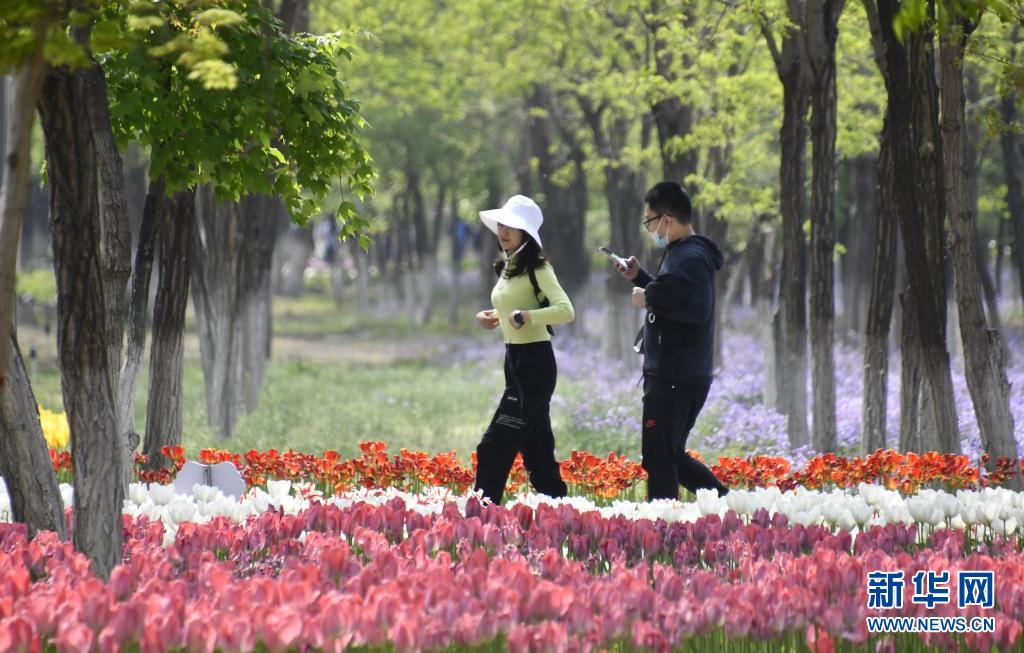 永定河畔休闲赏花