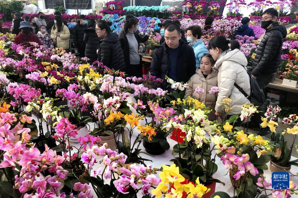 山东青岛：“年宵花节”春意浓