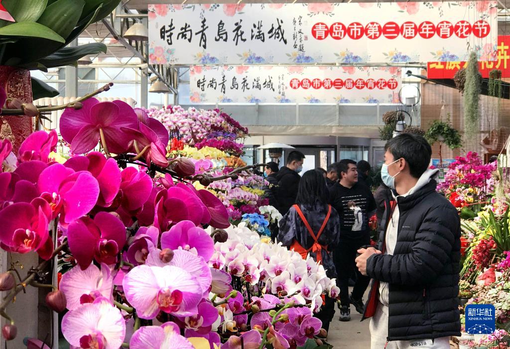 山东青岛：“年宵花节”春意浓