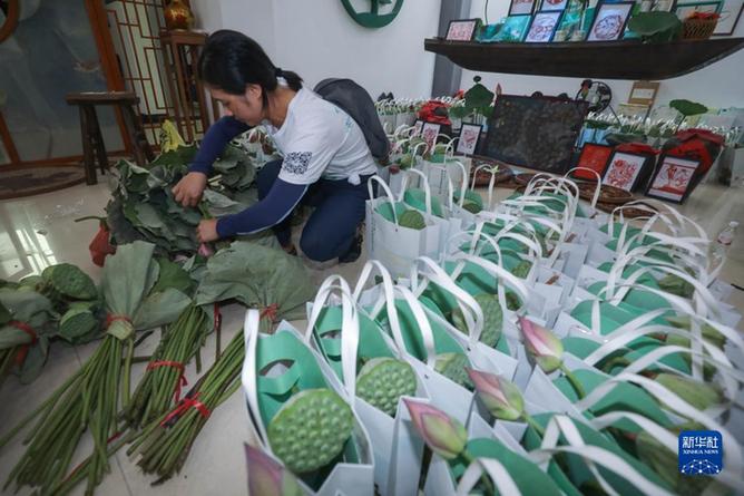 “荷美小镇”开启乡村荷花季