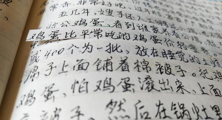 让生命之花炫美绽放