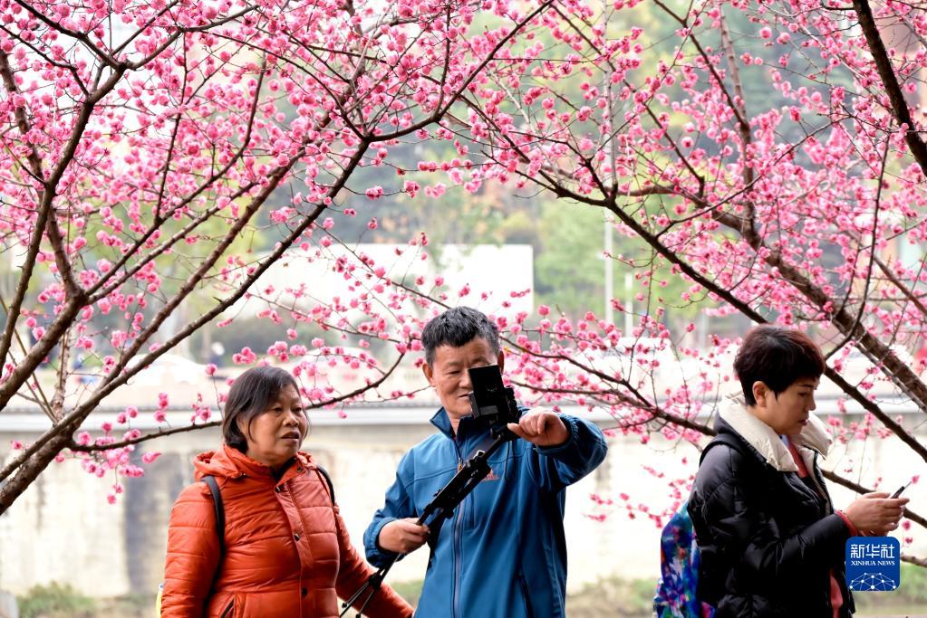 花开中国