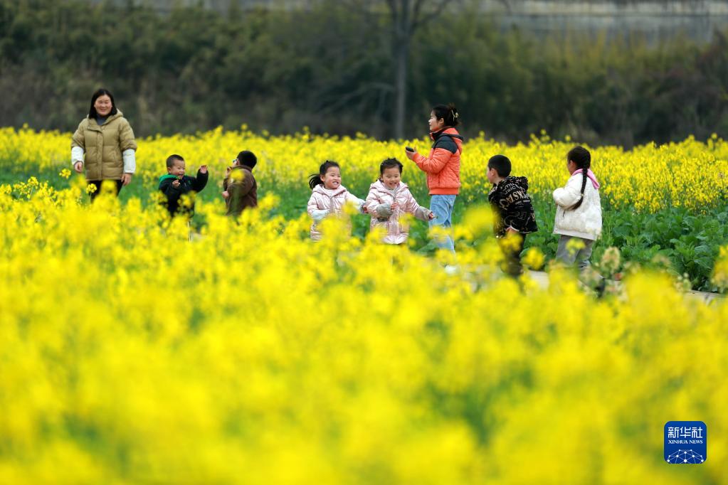 花开中国