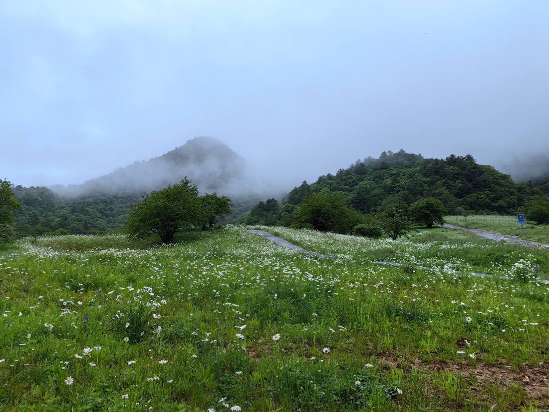 【光明文化周末】音画丨山村蝶影