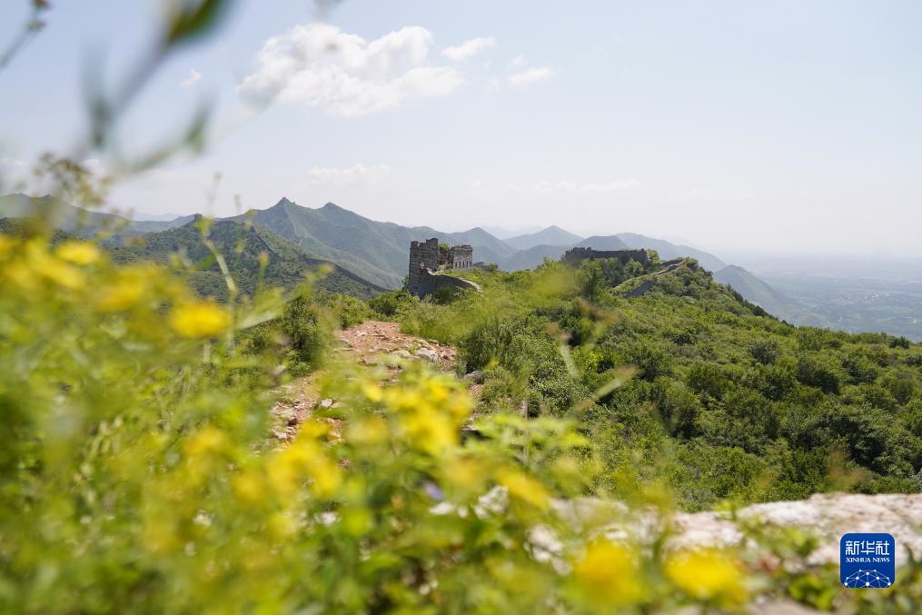 河北迁安：古长城夏日风光旖旎