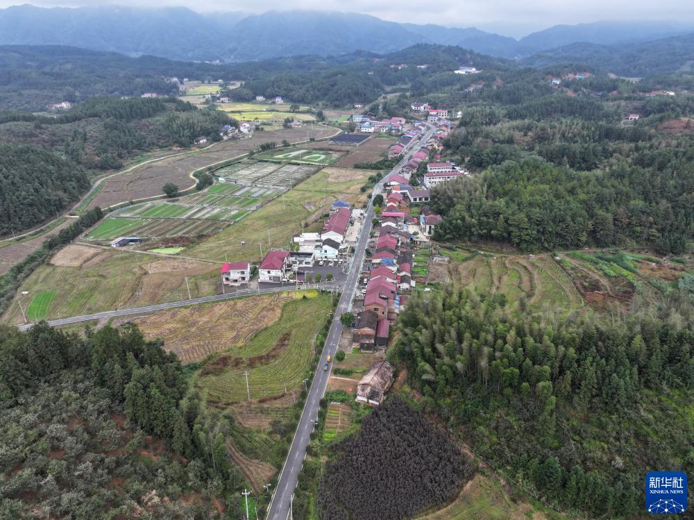 让农民的艺术品“走出大山”