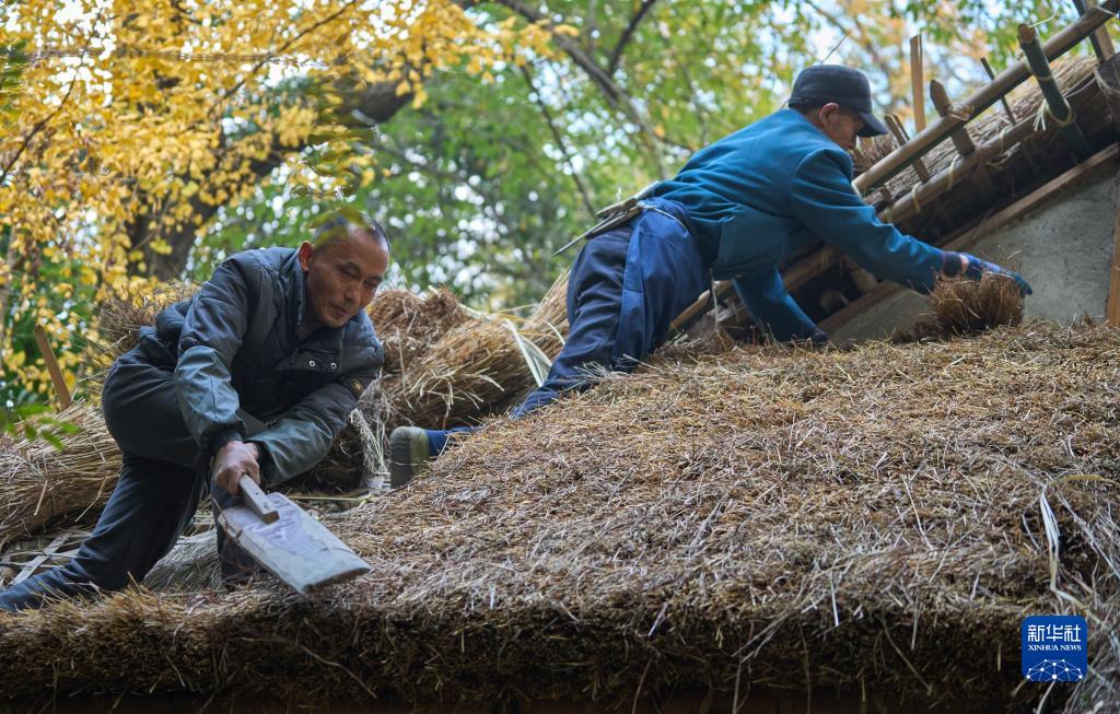 成都杜甫草堂茅屋启动维修翻新