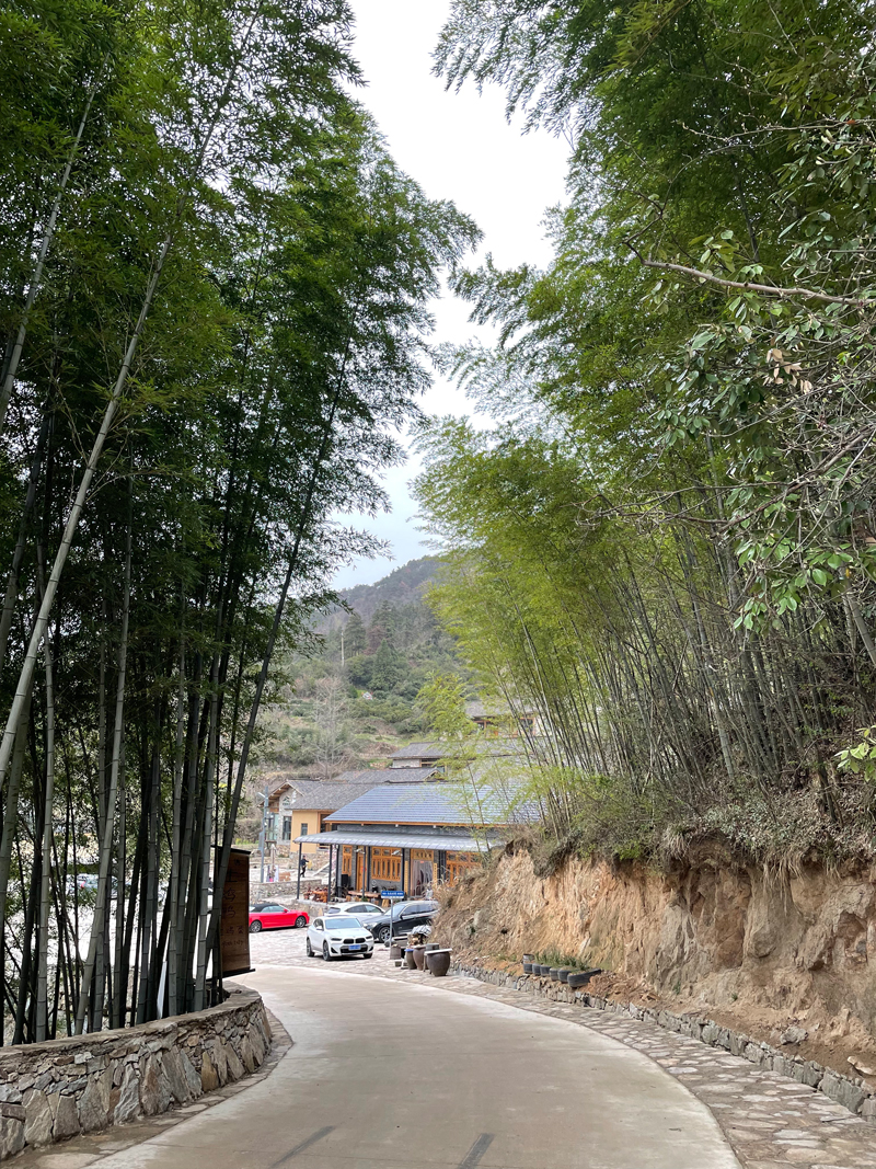 三界灵秀地 梦境黄柏山