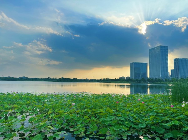 李忠杰：历史的前方是未来