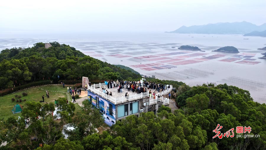 【烟火人间】音画丨诗里看海