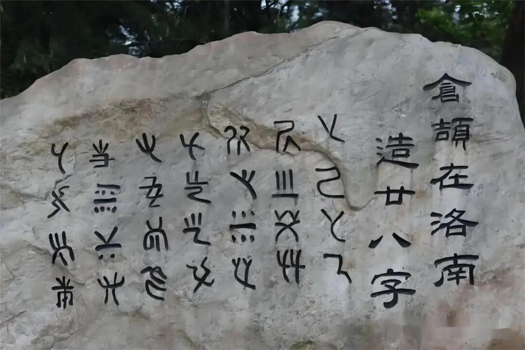 “秦岭之子”王若冰