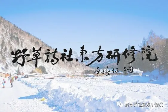 【野草诗社东方研修院】庚子回眸之九——何云春诗词20首