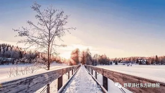 【野草诗社东方研修院】庚子回眸之九——何云春诗词20首