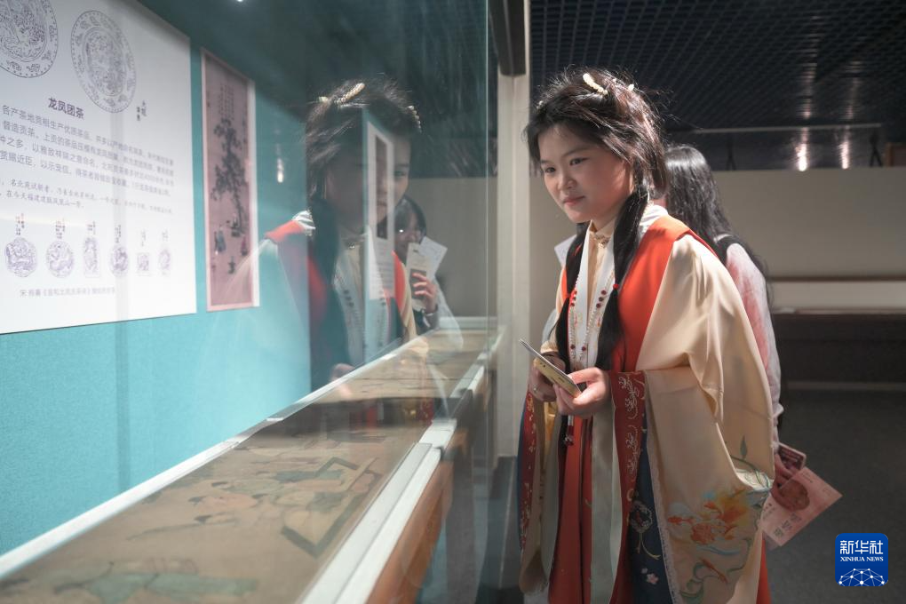 畅游“茶世界” 领略茶文化