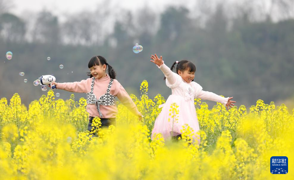 花开春光好