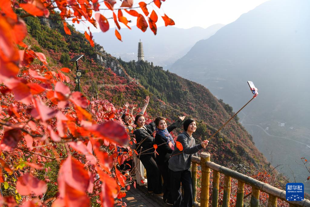 美丽中国丨重庆巫山红叶进入最佳观赏期