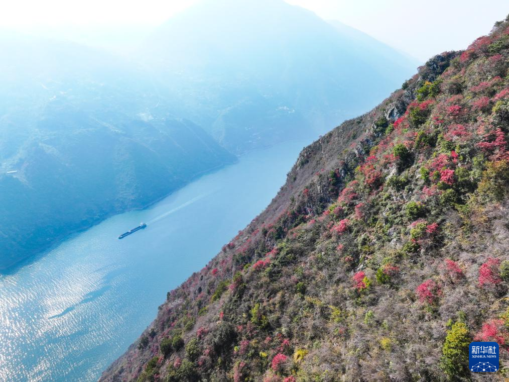 美丽中国丨重庆巫山红叶进入最佳观赏期