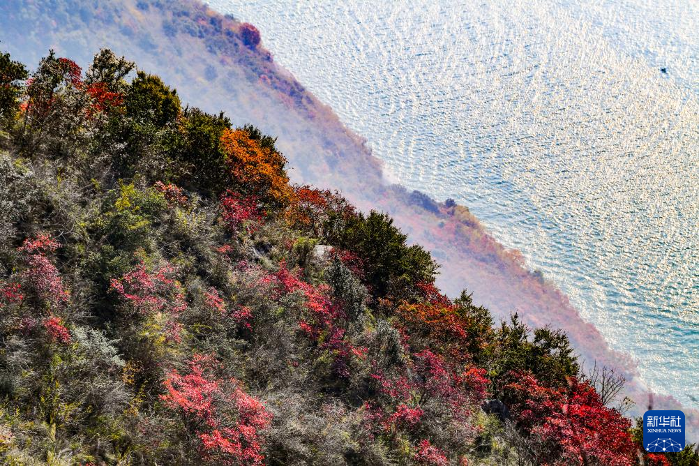 美丽中国丨重庆巫山红叶进入最佳观赏期