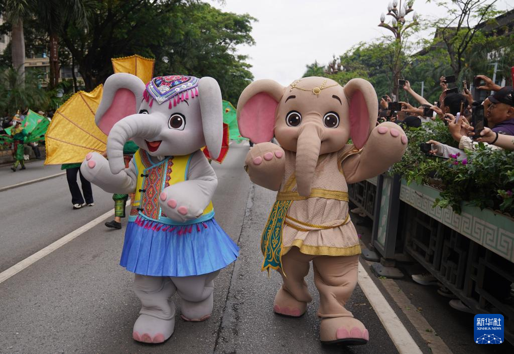 云南景洪：文化大游演 喜庆傣历新年