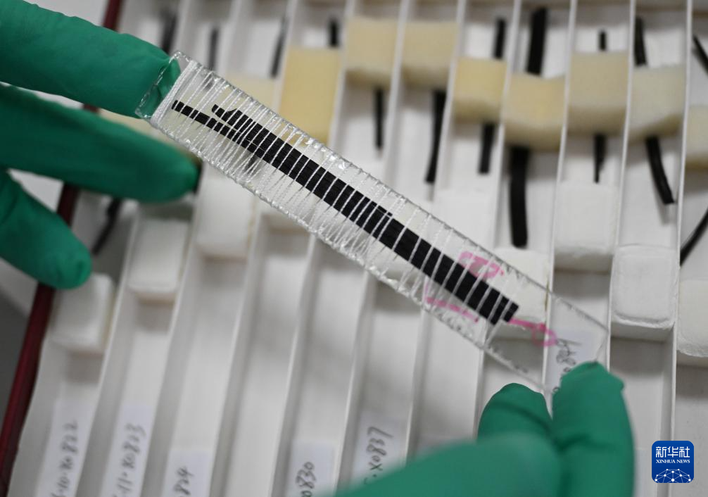 唤醒“沉睡”的简牍