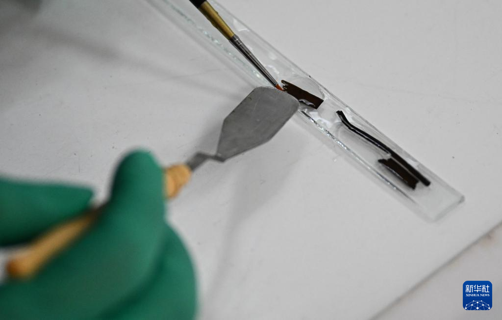 唤醒“沉睡”的简牍