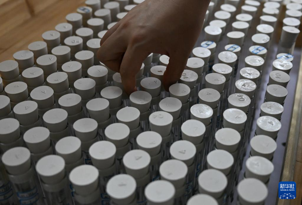 唤醒“沉睡”的简牍