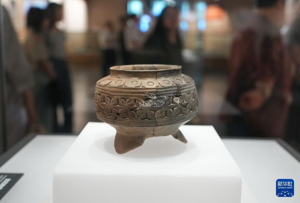 新时代中国调研行之文化中华|在山东大汶口探寻文明曙光