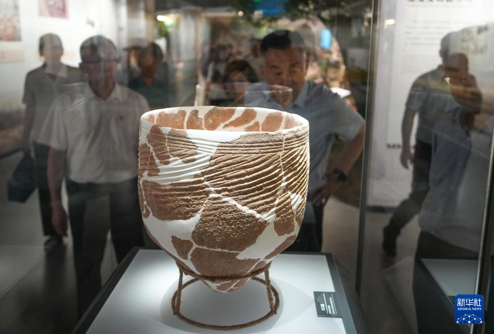 新时代中国调研行之文化中华|在山东大汶口探寻文明曙光