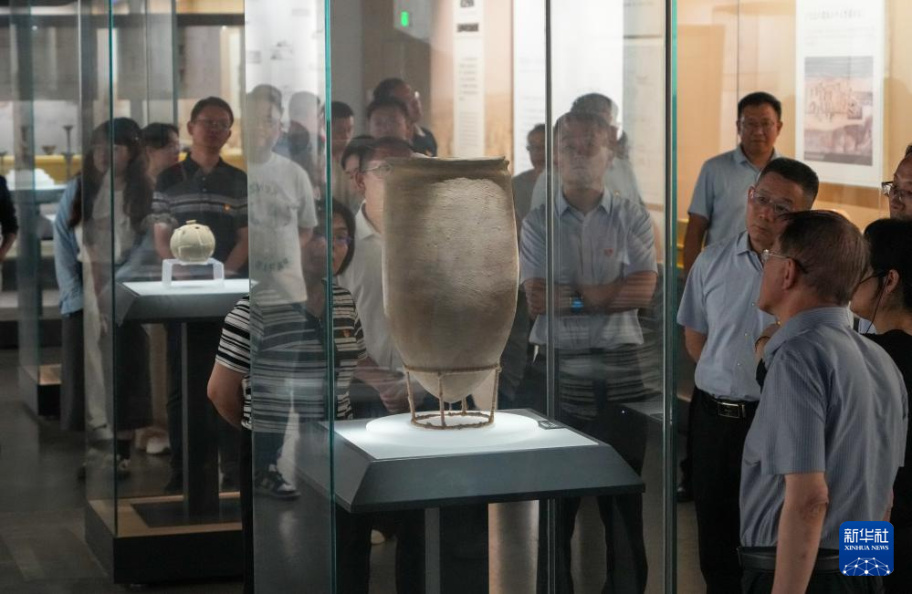 新时代中国调研行之文化中华|在山东大汶口探寻文明曙光