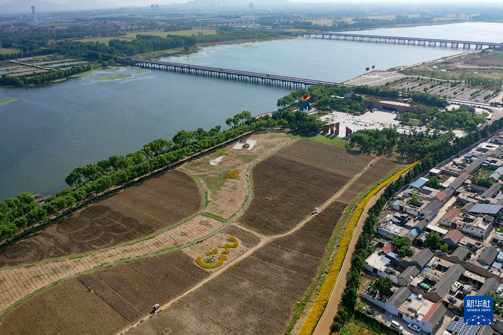 新时代中国调研行之文化中华|在山东大汶口探寻文明曙光