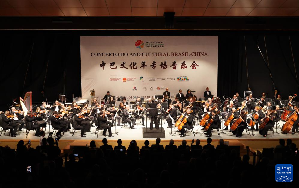 “中巴文化年”专场音乐会在巴西利亚举行
